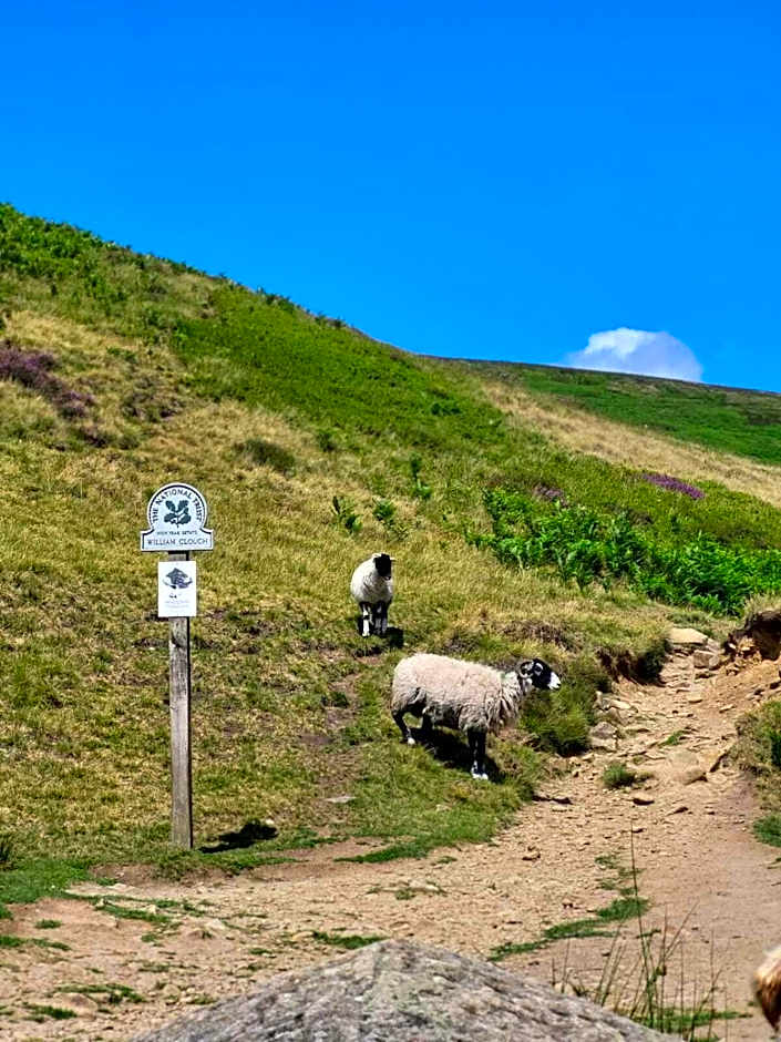 The Waltzing Weasel B&B