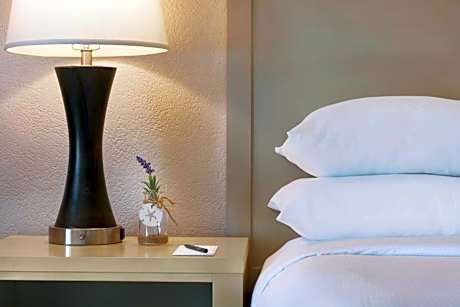 Suite with Two Double Beds