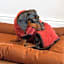 I love Sylt Hotel - adults only, hundefreundlich