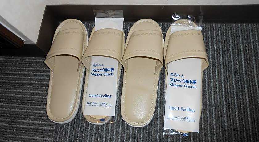 Kakegawa Station Hotel