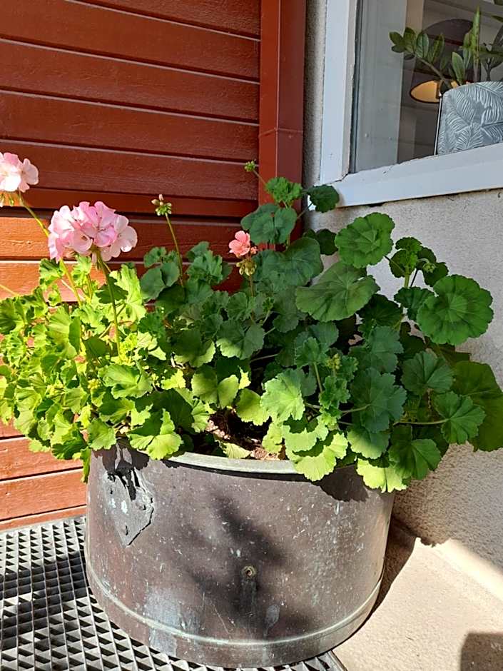 Kristinebergs Bed & Breakfast