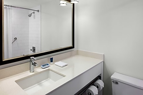 Studio Suite, 1 King Bed with Sofa bed (1 King Bed and 1 Double Sofa Bed)