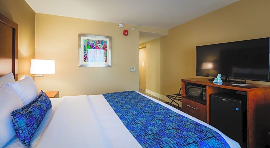 Best Western Plus Greenville I-385 Inn & Suites