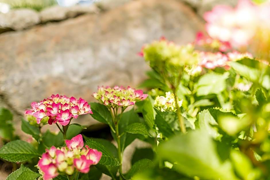 Garni Hotel Am Meilenstein