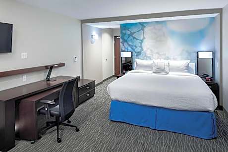 Room, 1 King Bed with Sofa bed (Mobility Accessible, Roll-In Shower)