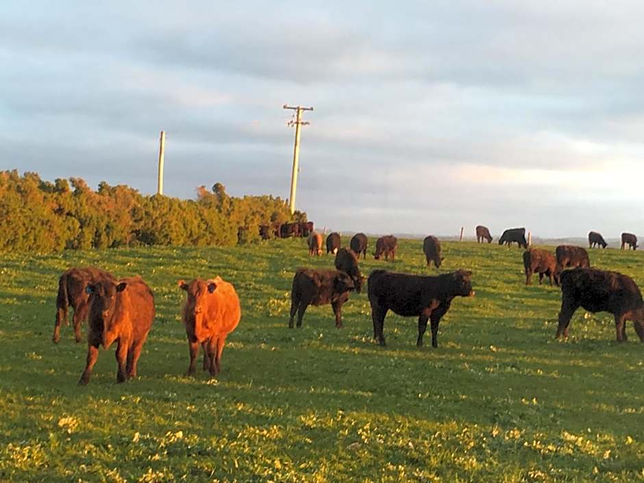 Cable Station Accommodation