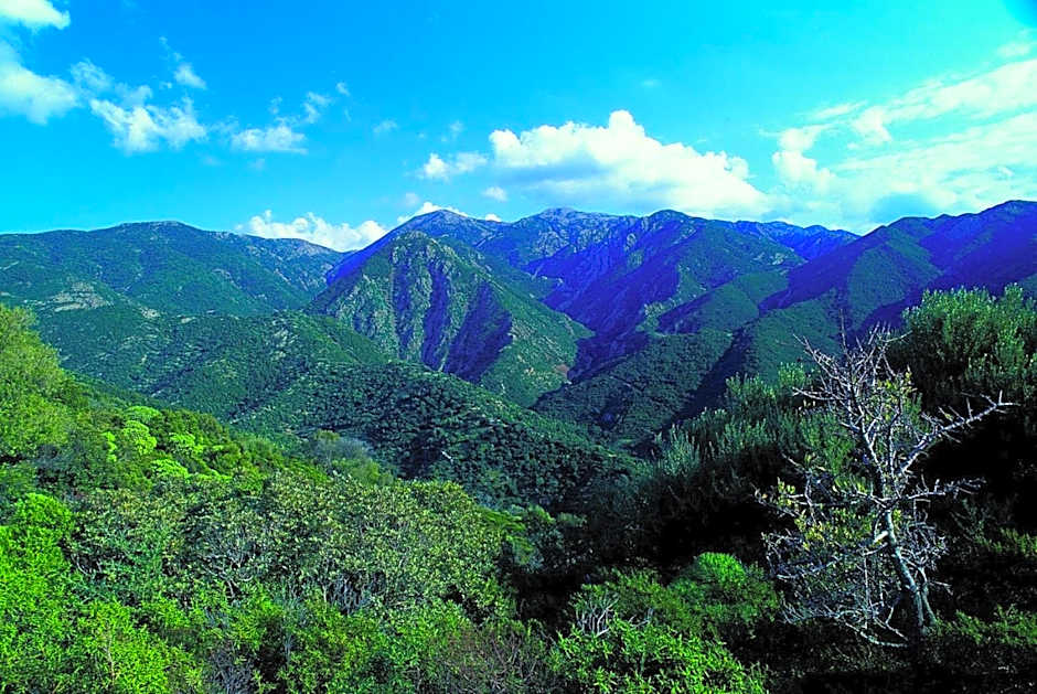 B&B Castello Salvaterra