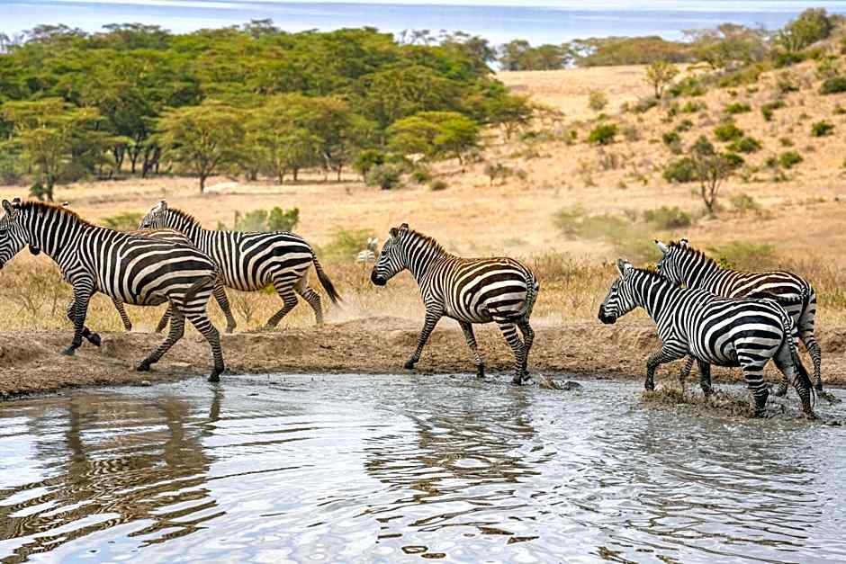 Lake Nakuru Lodge