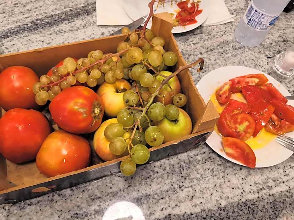 Hotel Ramis fundado en 1969