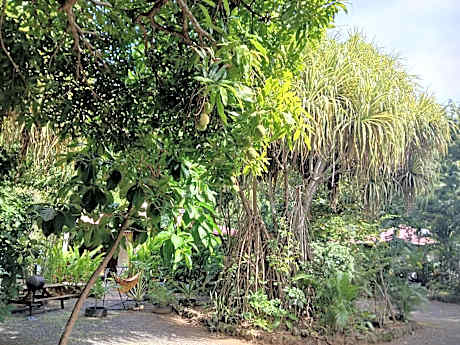 Résidence Les MANGUIERS OTANTIK