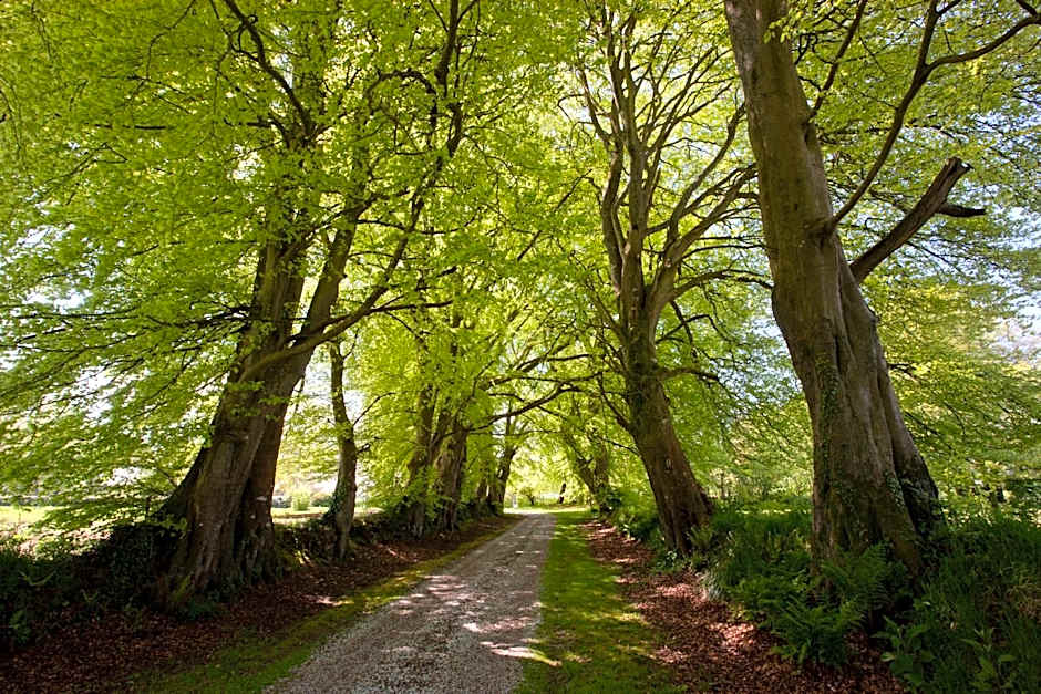 Le Manoir de La Fieffe