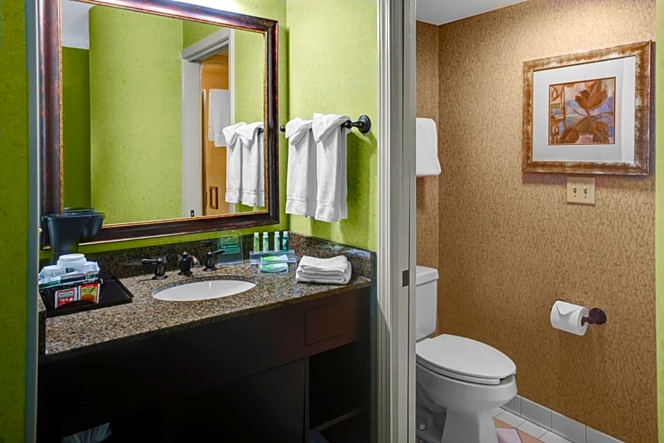 Holiday Inn Express Hotel & Suites Atlanta Buckhead by IHG