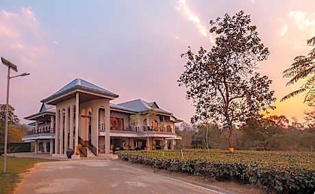Vaani Greens Wildlife Resort Kaziranga