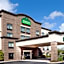 Independents Lexington Expo Hotel By IHG