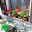 Room Saronno + B&B