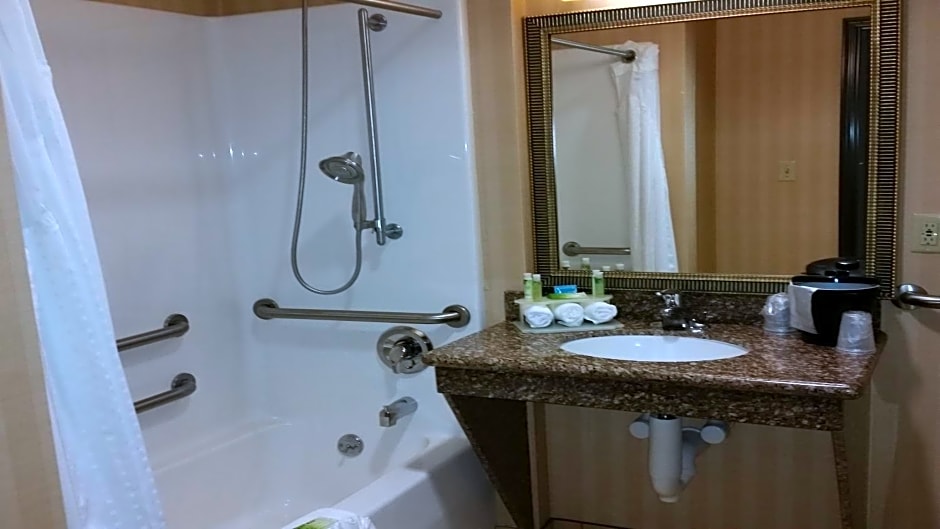 Holiday Inn Express & Suites New Buffalo, MI by IHG