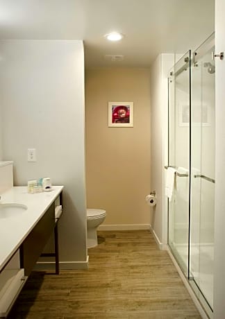 1 King W/Sofabd/Microwv/Fridge Ns