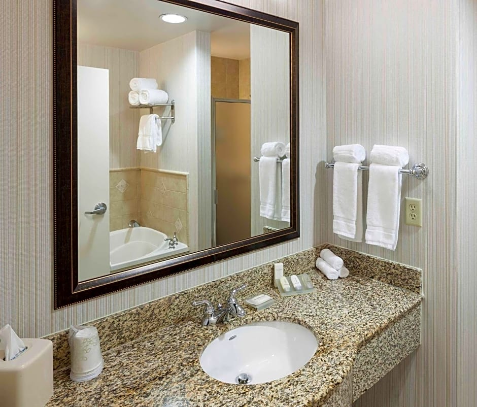 Hilton Garden Inn Dallas Lewisville