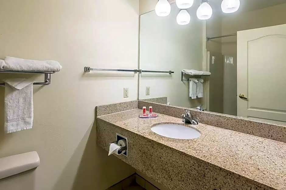 Econo Lodge Inn & Suites Douglasville