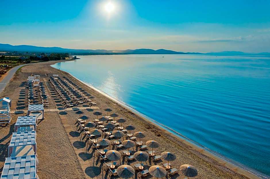 Blue Lagoon Princess