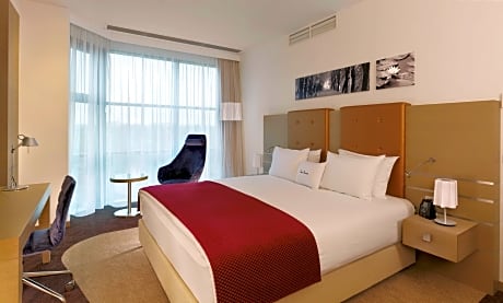 King Accessible Guest Room