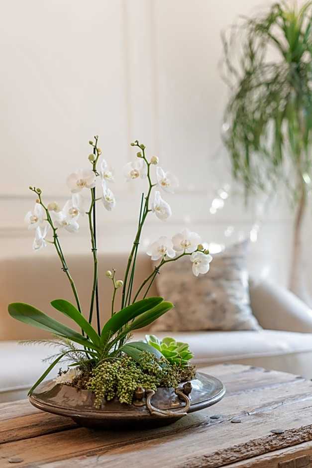 Villa Ganz Boutique Hotel