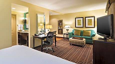 1 King Bed Studio Suite Nonsmoking