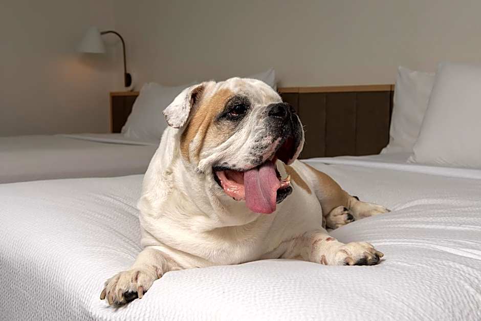 TownePlace Suites by Marriott Sacramento Cal Expo