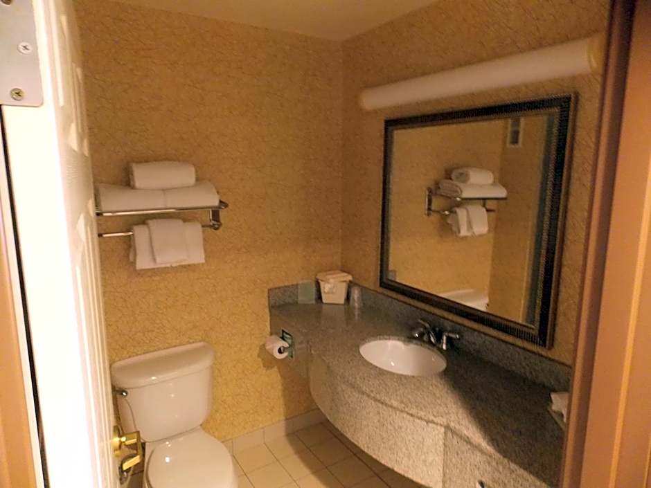 Holiday Inn Express Syracuse-Fairgrounds by IHG