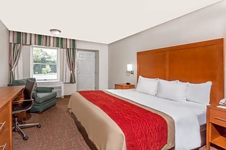 King Room with One King Bed - Non-Smoking