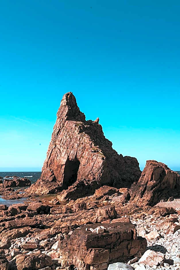 El Gato Gordo - bike & surf house