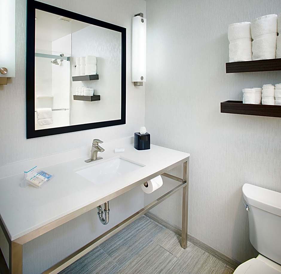 Hilton Garden Inn Dallas/Arlington South