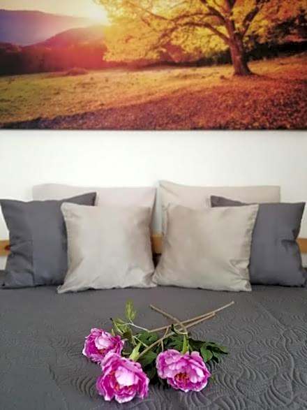 Apartmány U Stříbrných