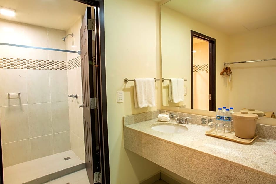 Hotel Plaza Calzada