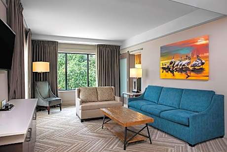 1 King Bed 1 Bedroom Suite No Balcony