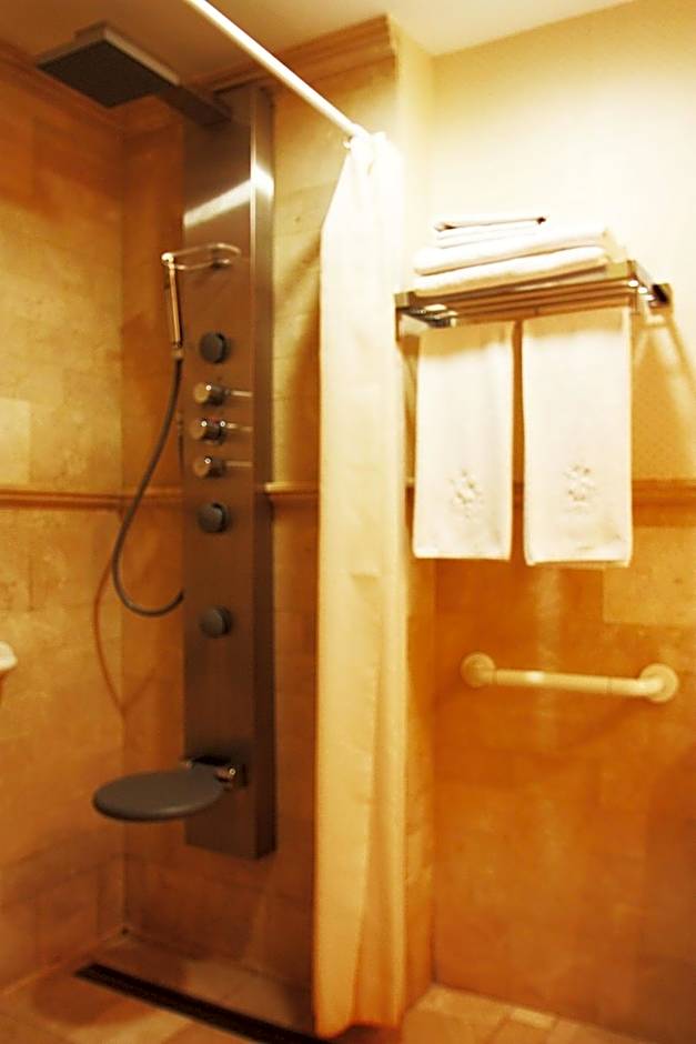 Las Doñas del Portazgo