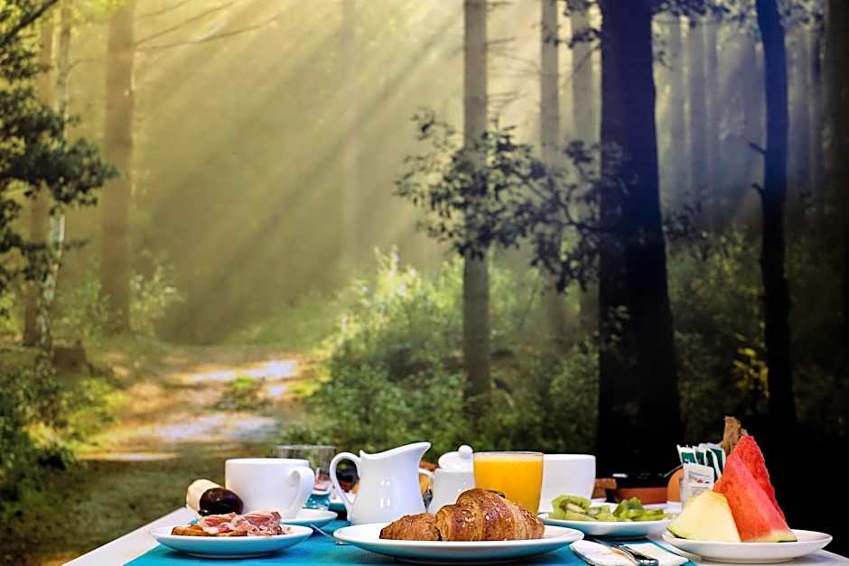 Salamanca Suite Studios