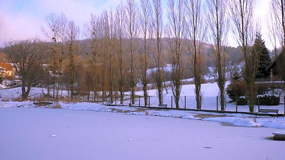 La Maison des Fontaines d'Alsace