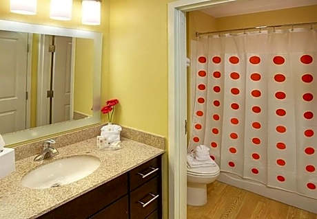 Suite, 1 Bedroom (1 Queen Bed and 1 Double Sofa Bed)