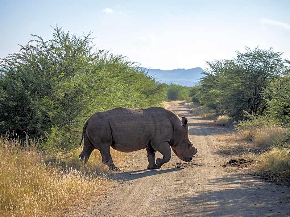Lush Private Game Lodge