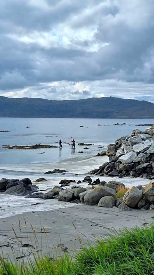 Runde Miljøsenter & Opplev Runde