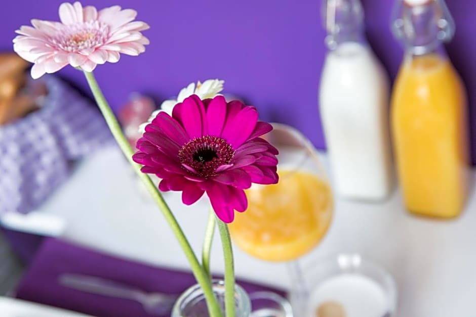 B&B Slapen bij de burgemeester