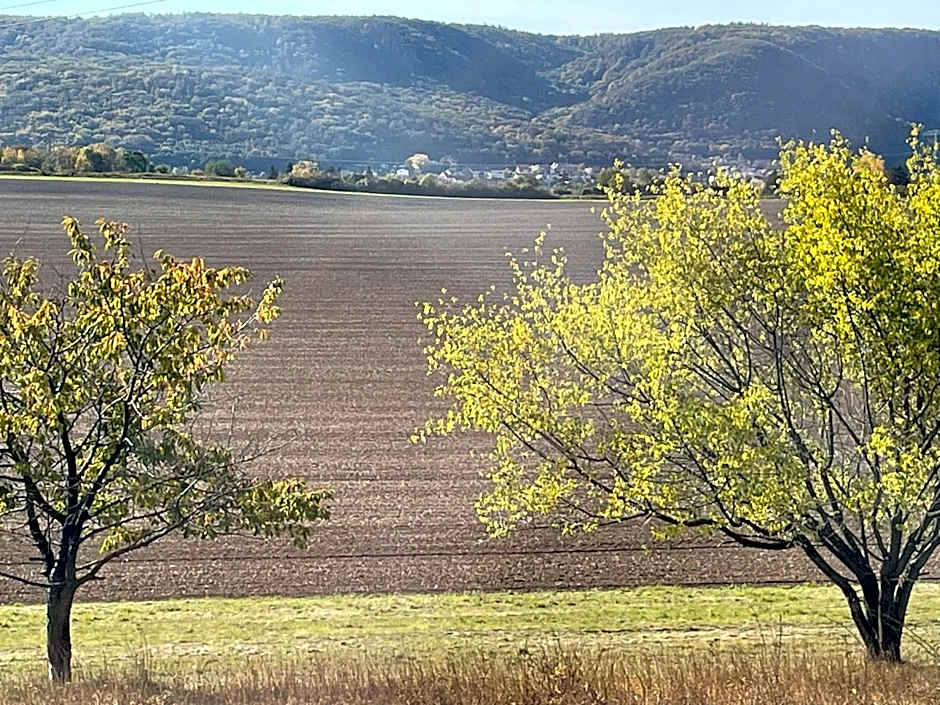 Harzhotel Warnstedter Krug
