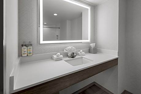 1 King Standard Mobility Accessible Tub