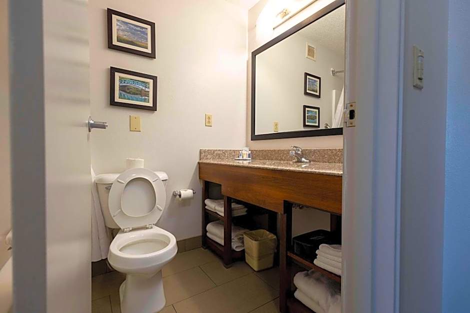 Comfort Suites Springfield I-70