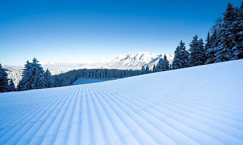 Hotel-Restaurant Planaihof