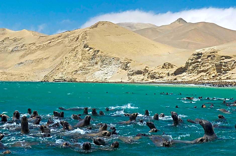 La Hacienda Bahia Paracas