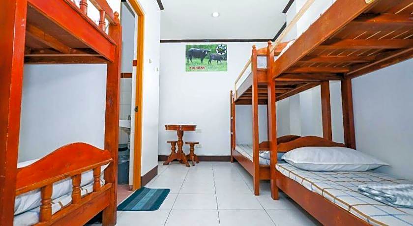 Mayon Backpackers Hostel