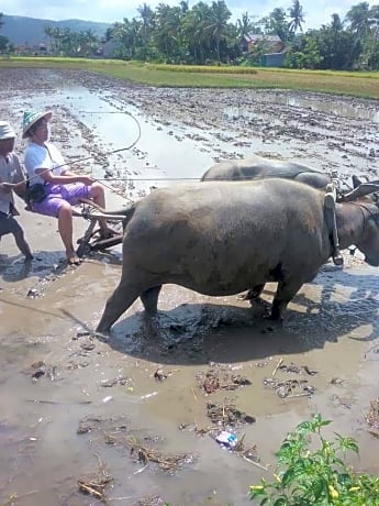 Sardi Homestay by ZUZU