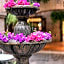 HACIENDA BUENAVENTURA HOTEL & MEXICAN CHARM - ALL INCLUSIVE